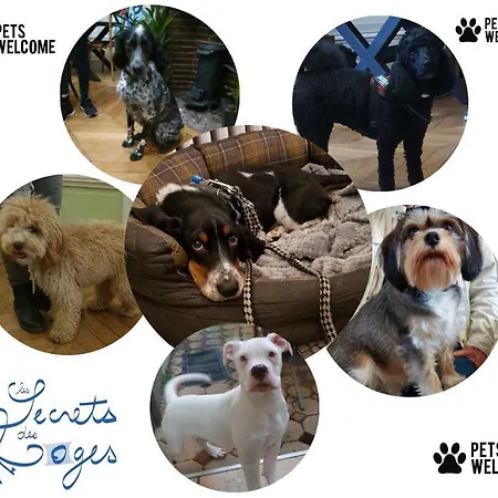 Les Secrets Des Loges 3*