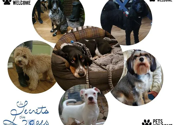 Les Secrets Des Loges 3*